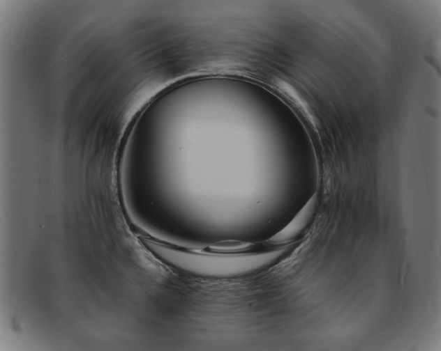 X0000092051336200709121205