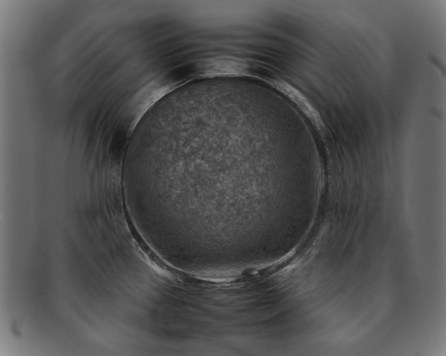 X0000092051337200709121205