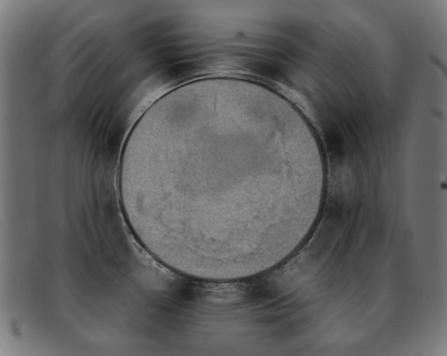 X0000092051338200709121205