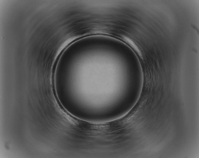 X0000092051339200709121205