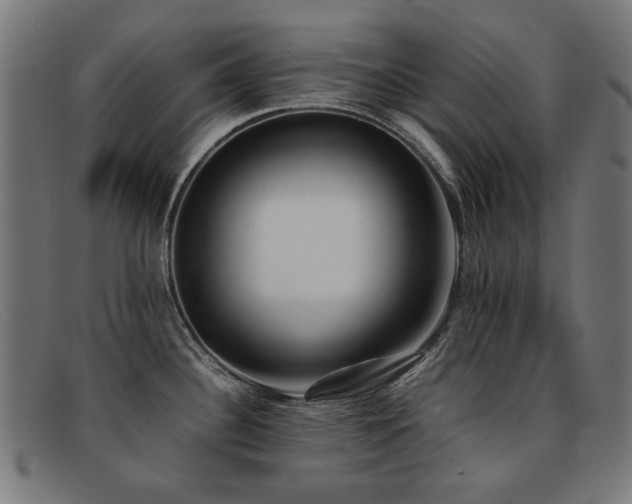 X0000092051340200709121205