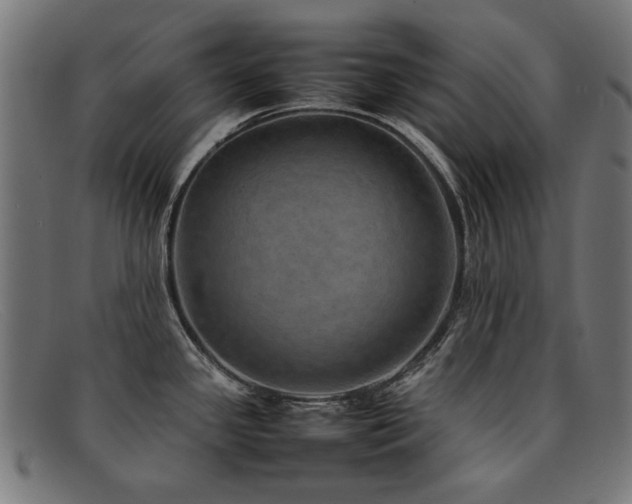 X0000092051341200709121205