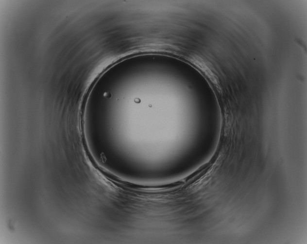 X0000092051342200709121205