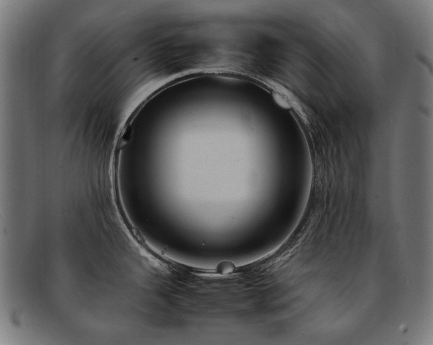 X0000092051343200709121205