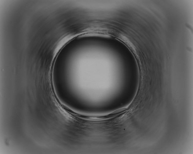 X0000092051344200709121205