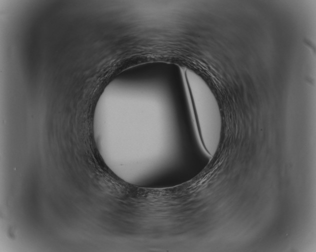 X0000092051345200709121204