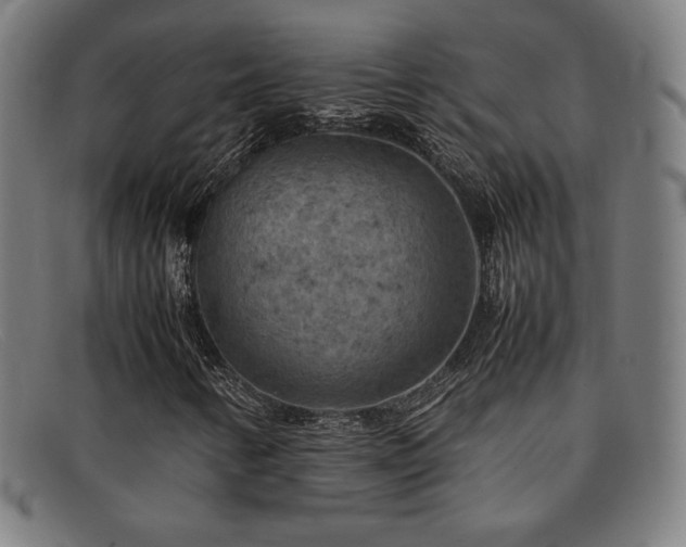 X0000092051346200709121204