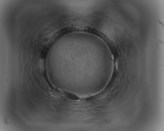 X0000092051347200709121204