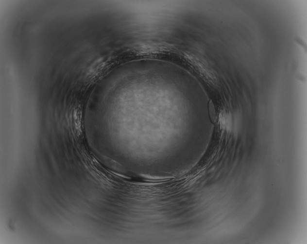 X0000092051348200709121204