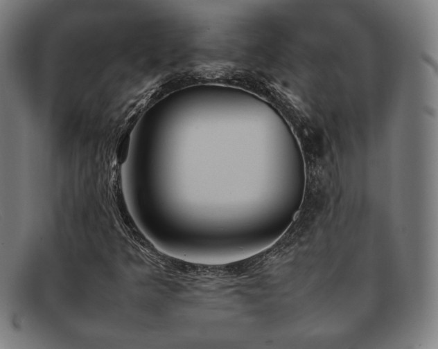 X0000092051349200709121204