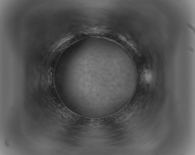 X0000092051350200709121204