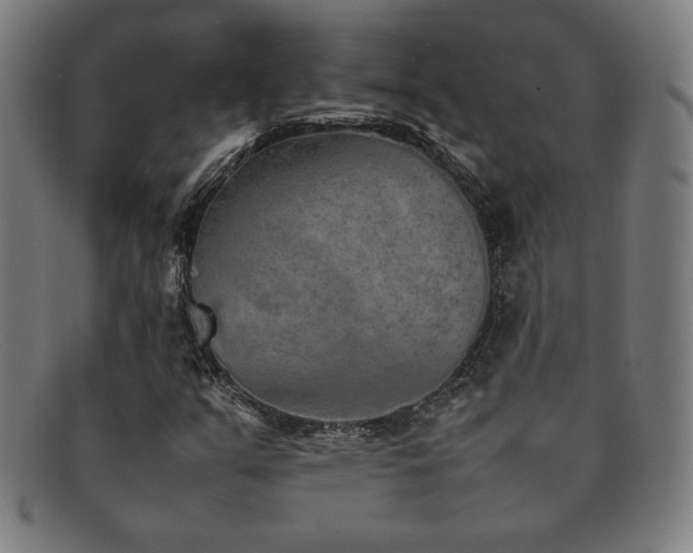 X0000092051351200709121204