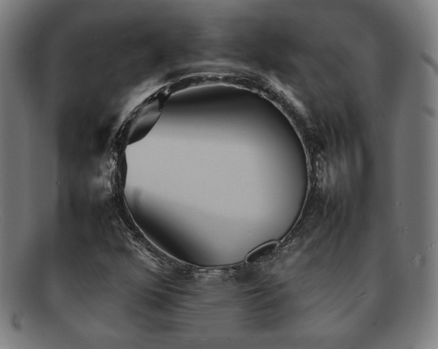 X0000092051352200709121204