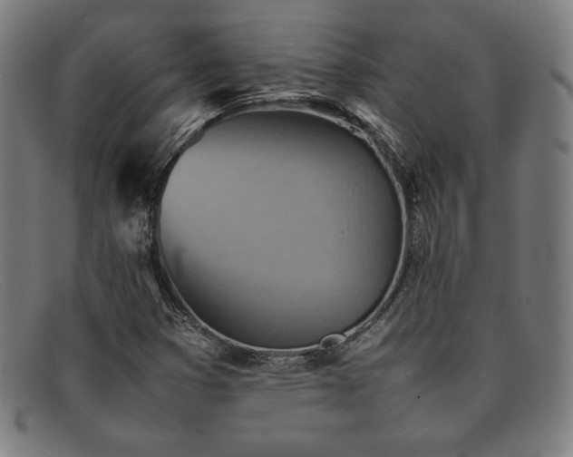 X0000092051353200709121204