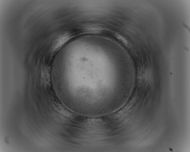 X0000092051354200709121204