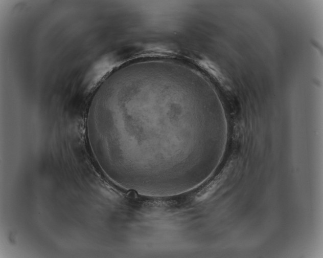 X0000092051355200709121204