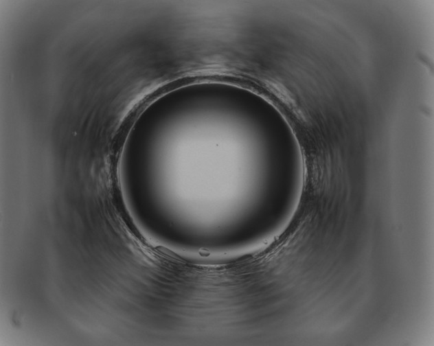 X0000092051356200709121204