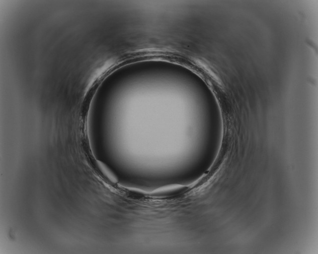 X0000092051357200709121204