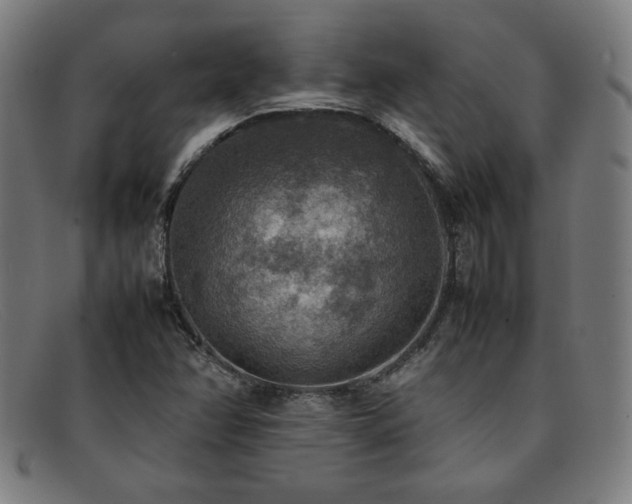 X0000092051358200709121204