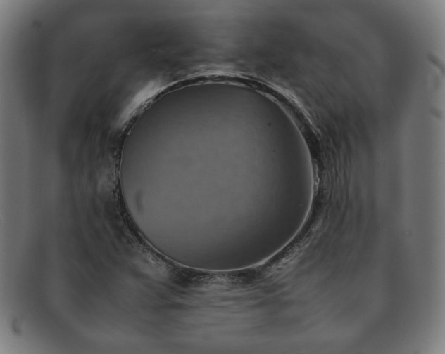 X0000092051359200709121204