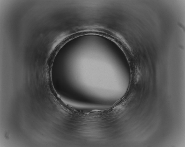 X0000092051360200709121204