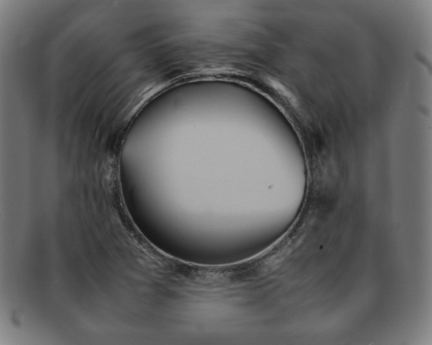 X0000092051361200709121204