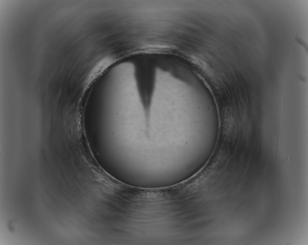 X0000092051362200709121204