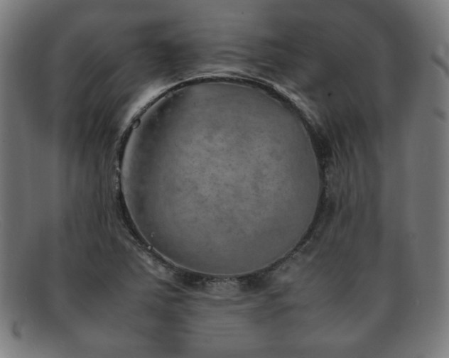 X0000092051363200709121204