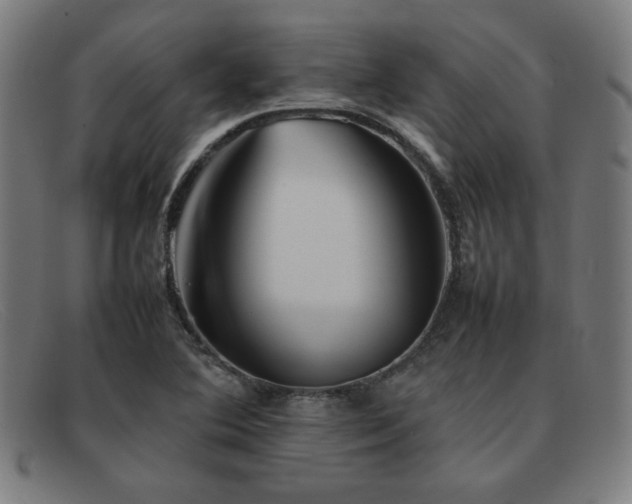 X0000092051364200709121204