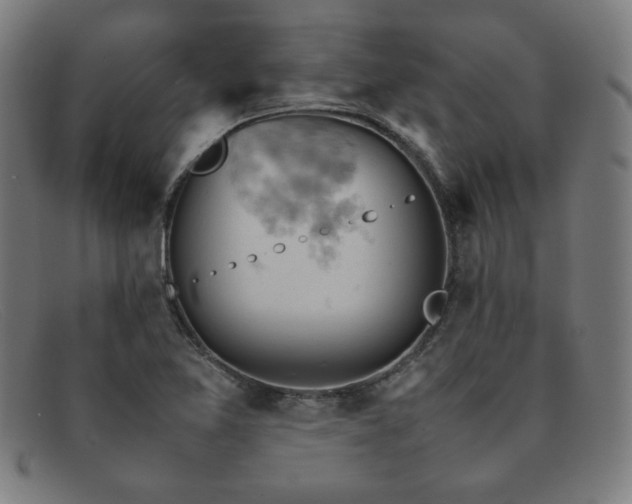 X0000092051365200709121204