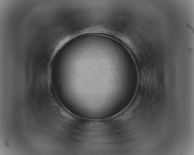 X0000092051366200709121204