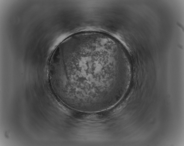 X0000092051367200709121204