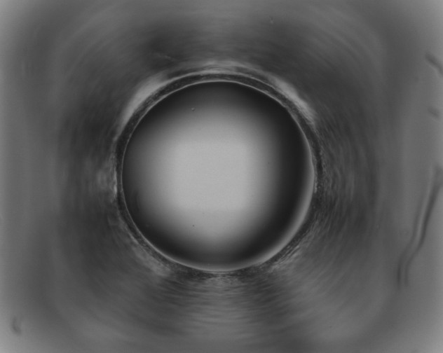 X0000092051368200709121204