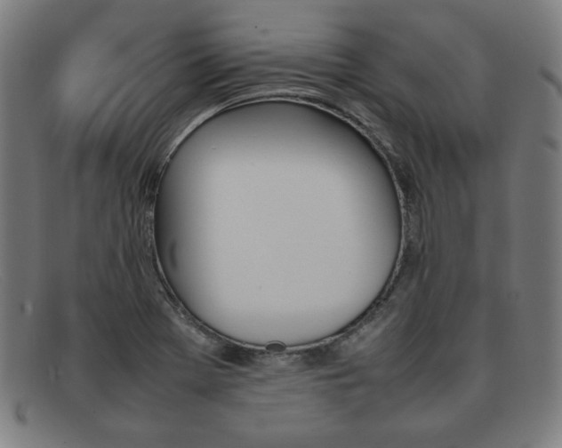 X0000092051369200709121204