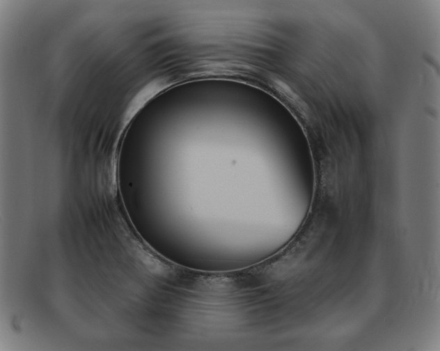 X0000092051370200709121204