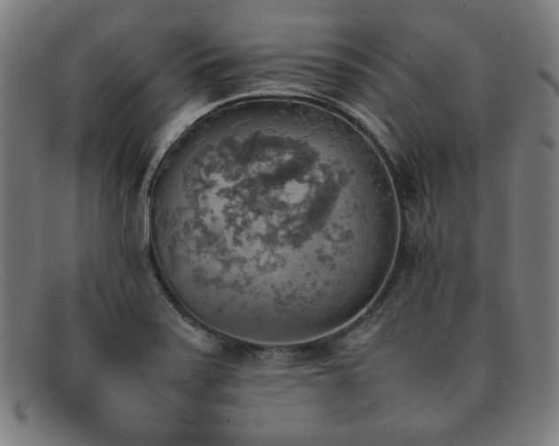 X0000092051371200709121204