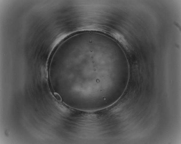 X0000092051372200709121204