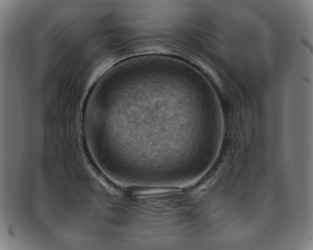 X0000092051373200709121204