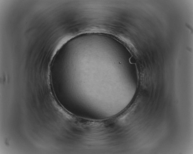 X0000092051374200709121204