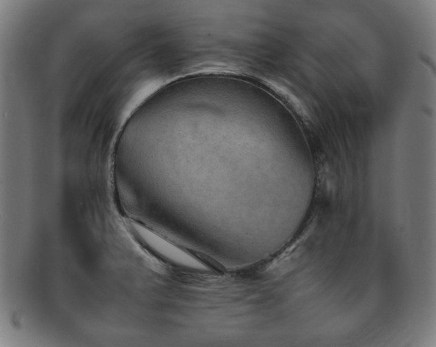 X0000092051375200709121204