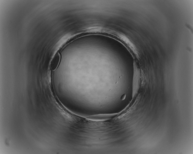 X0000092051376200709121204