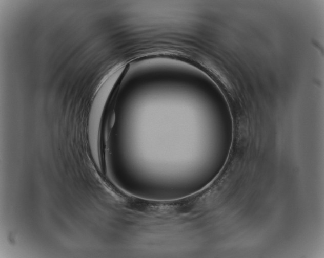 X0000092051377200709121204