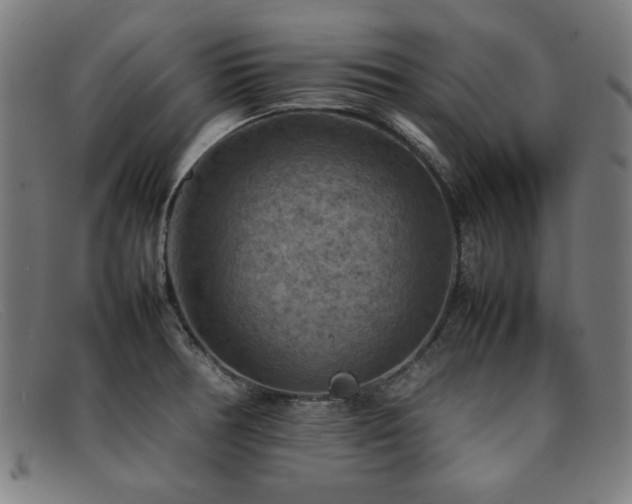 X0000092051378200709121204