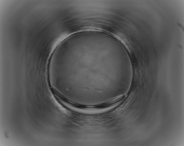 X0000092051379200709121204