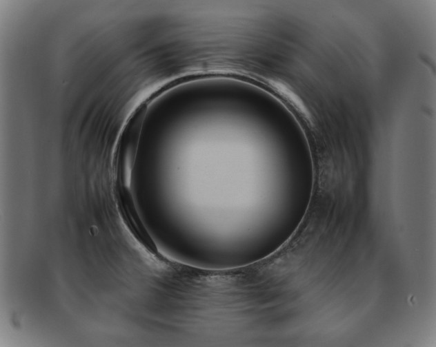 X0000092051380200709121204