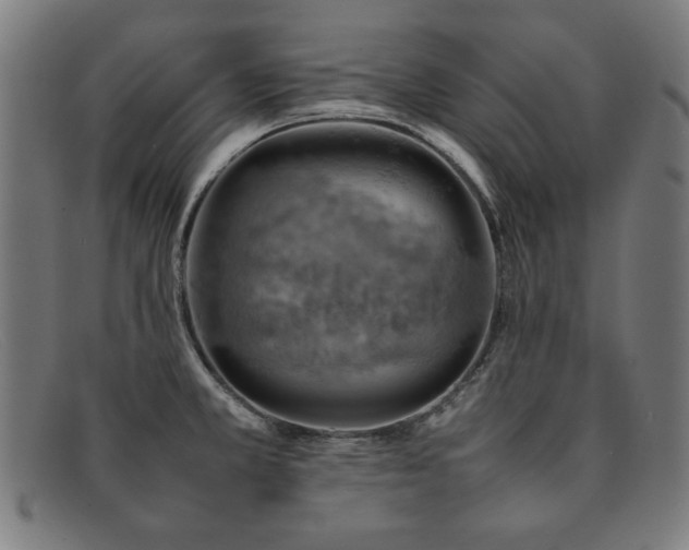 X0000092051381200709121204