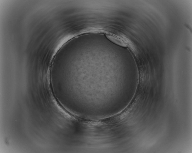 X0000092051382200709121204