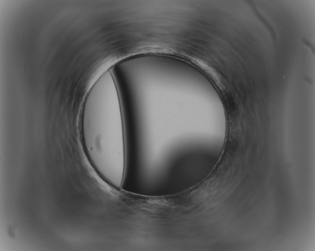 X0000092051383200709121204