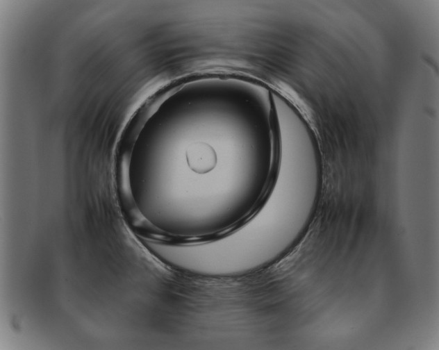 X0000092051384200709121204