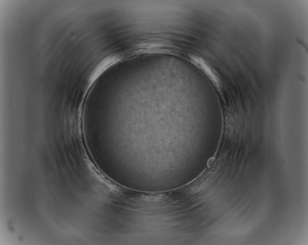 X0000092051386200709121204